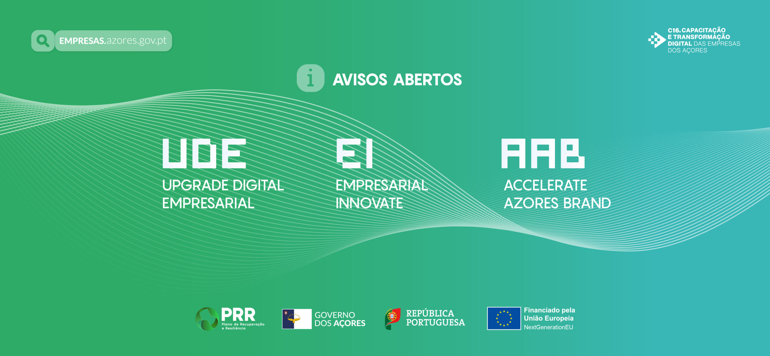 Novo sistema de incentivos à Transição Digital das Empresas com 20 milhões de euros, anuncia Duarte Freitas